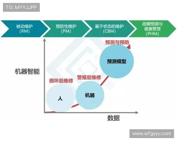 北京极限运动队节奏表现的数据分析与趋势探讨