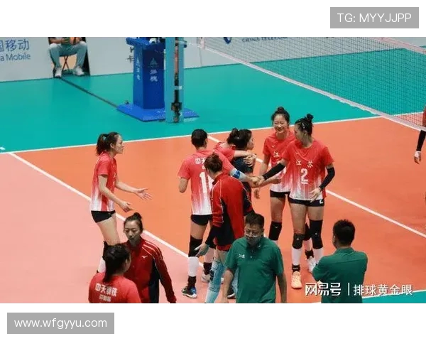 北京排球队节奏引发热议球迷与专家观点大碰撞