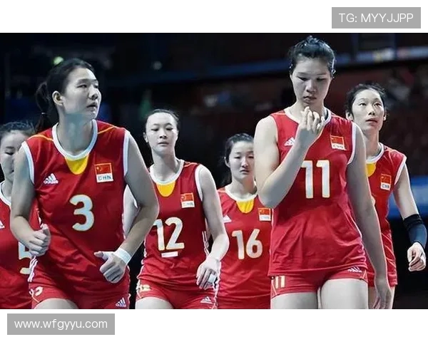 上海排球队实力强劲最新排球力量排行榜前十名揭晓