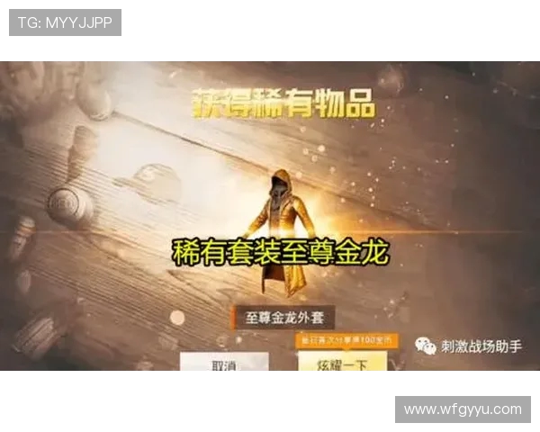 专访吴秀英揭秘和平精英成功背后的策略与故事