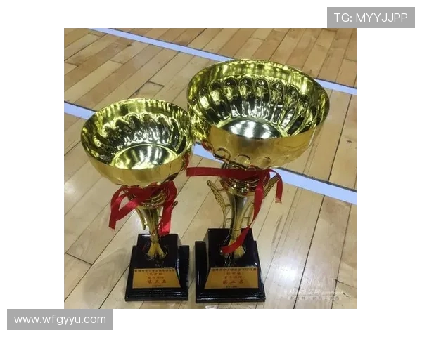 南京羽毛球队与西安羽毛球队耐力较量赛后分析与反思