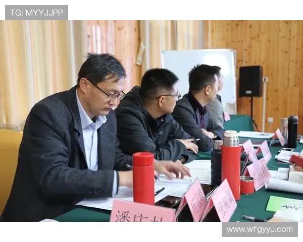 成都篮球队运营模式分析与发展策略探讨