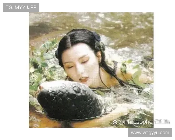 杨丽专访：从青涩少女到网球明星的成长之路与心路历程