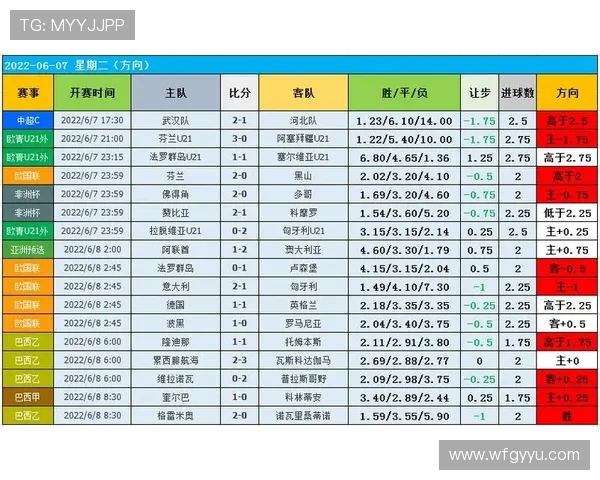 深圳足球队实力分析与未来发展潜力探讨 深圳足球队实力分析与未来发展潜力探讨