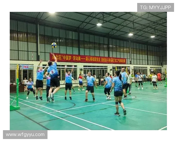 深度对话赵秀英排球生涯的奋斗与梦想探索