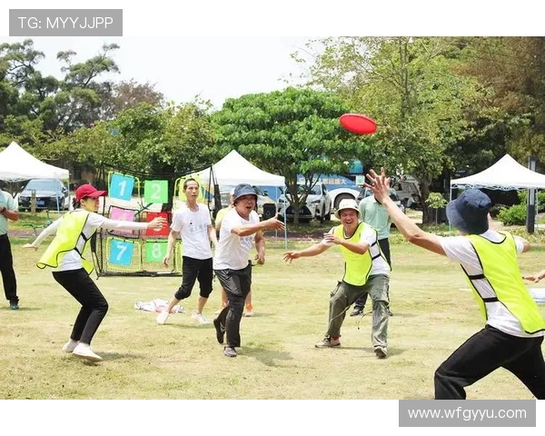 科学飞盘的力量训练技巧与方法探索助你提升运动表现