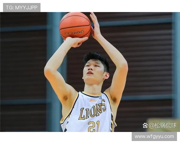 胡金秋:从青年才俊到篮球巨星的成长之路与辉煌成就 胡金秋:从青年才俊到篮球巨星的成长之路与辉煌成就