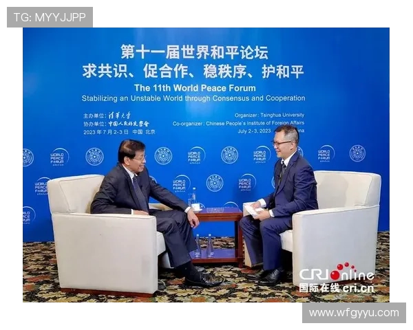 赖斯的外交智慧与全球战略影响力的深度解析与探讨 赖斯的外交智慧与全球战略影响力的深度解析与探讨